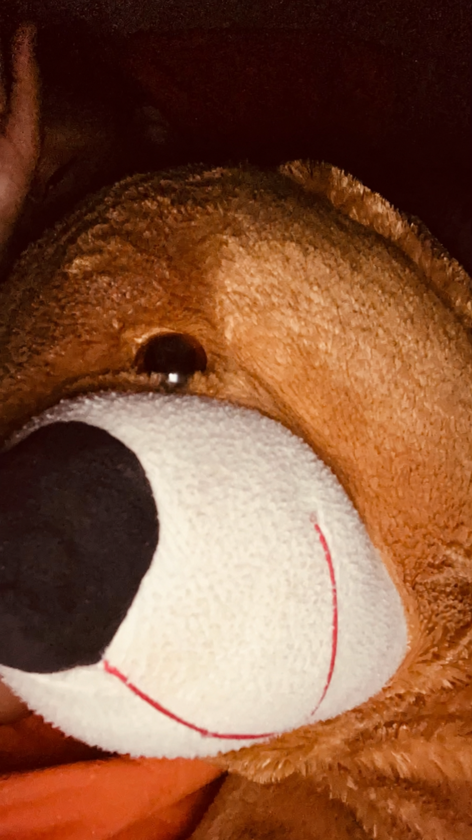 Foto em close de Cely